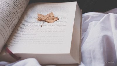 Book World