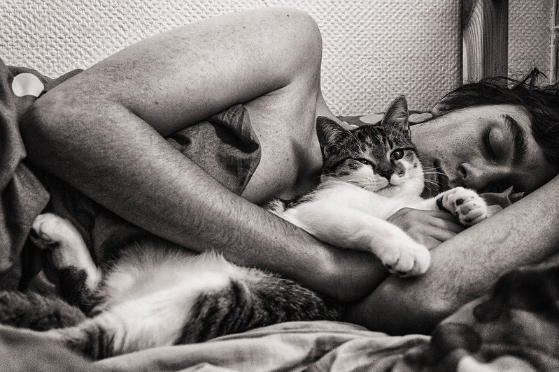 The Ritual of Sleep